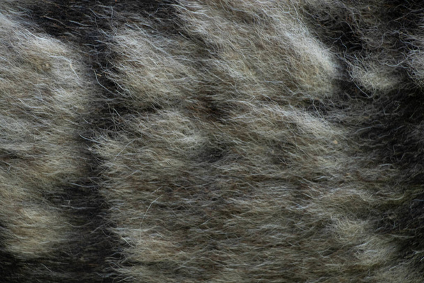 fekete szürke kutyaszőr háttér, kutyaszőr, szőrme kabát háttér, gyapjú háttér - Fotó, kép