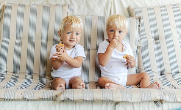 Δύο μικρά δίδυμα. Δύο πανομοιότυπα μωρά με λευκά ρούχα για παιδιά κάθονται σε έναν καναπέ στη ζεστασιά του σπιτιού και κρατούν ένα μπισκότο στο χέρι τους. Αυτόματο πορτραίτο διδύμων με μπλε μάτια και ξανθά μαλλιά - Φωτογραφία, εικόνα