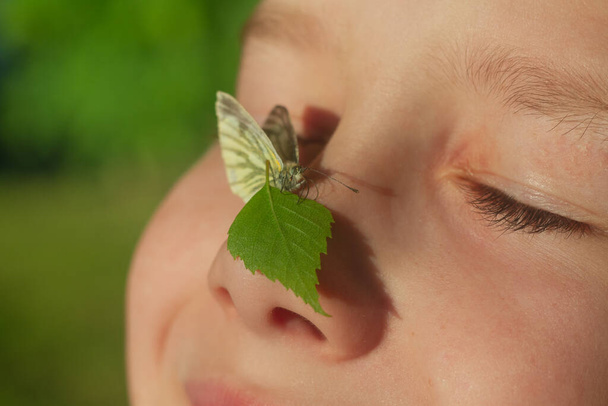 In summer, a butterfly sits on the nose of a teenage boy on a warm sunny day. - Foto, immagini