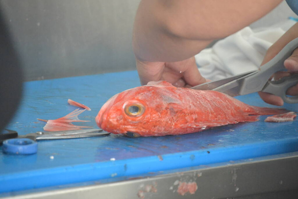 προετοιμασία μπάρμπεκιου κόκκινων ψαριών και κόκκινων ψαριών - Φωτογραφία, εικόνα
