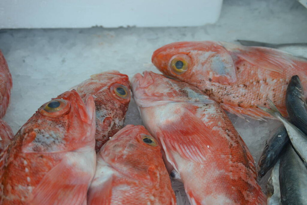 poisson rouge et poisson rouge préparation barbecue - Photo, image