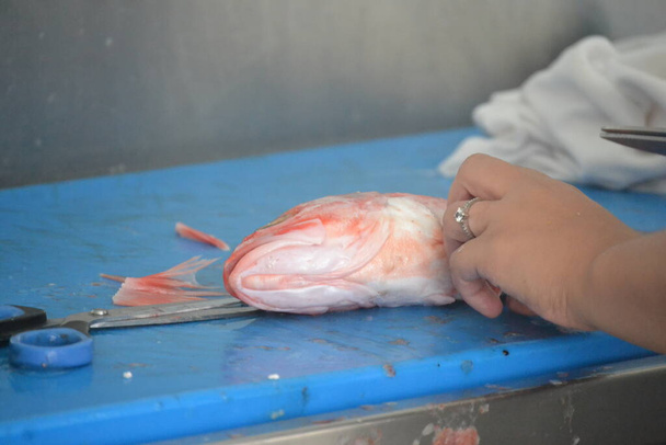 赤魚と赤魚バーベキューの準備 - 写真・画像