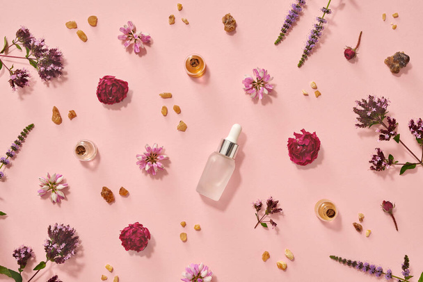 Pastel pink background with bottles of essential oil with frankincense, rose, bloomng oregano and other herbs and summer flowers - Foto, afbeelding