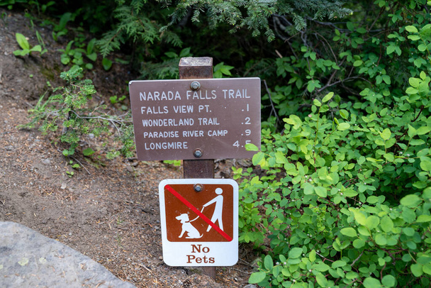 Підпишіть для туристів на Mt. Rainier National Park for Narada Falls Trail, Wonderland Trail and Longmire - Фото, зображення