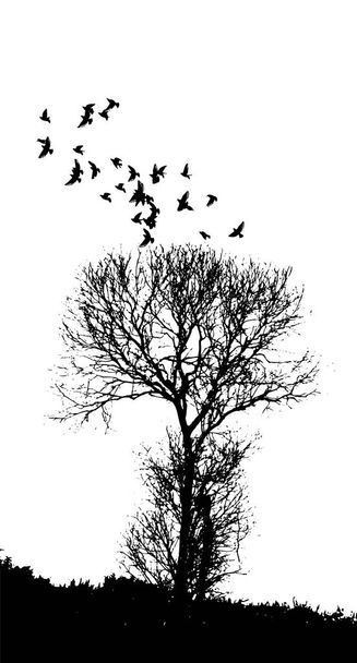 Silueta negra de un árbol sin hojas con pájaros voladores. Ilustración vectorial - Vector, Imagen