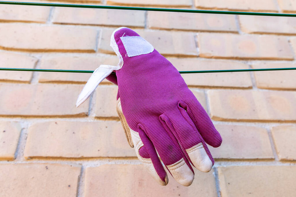 Пурпурные садовые перчатки, высыхающие на веревке на ветру - Фото, изображение