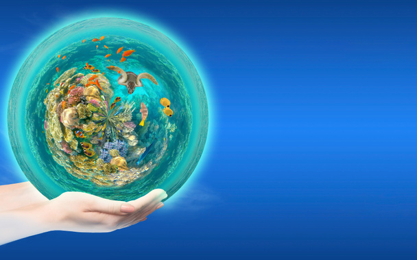 Földgolyó az emberi kézben a kék ég ellen. Környezetvédelmi koncepció. Víz alatti világ. Vörös-tengeri korallhalak - Fotó, kép