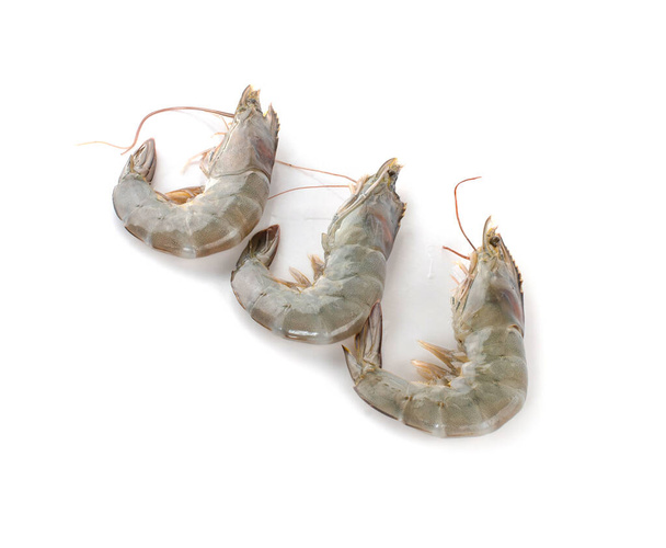 fresh shrimps or prawns raw on white background - Foto, Imagem