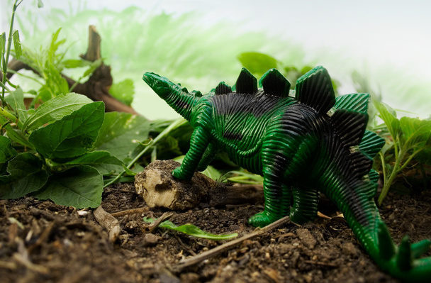 Dschungel-Stegosaurus - Foto, Bild