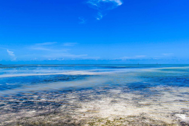 Low tide in the Florida Keys - Fotografie, Obrázek