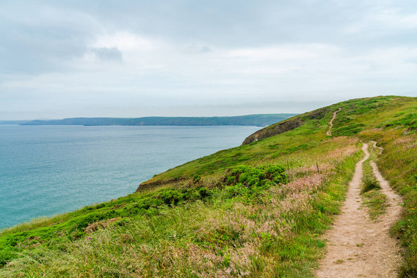 Pembrokeshire Coast coastal path along St Bridges Bay in Wales - Фото, зображення