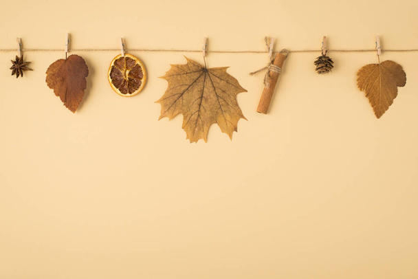 Top view photo of brown autumn leaves anise cone dried lemon slice and cinnamon stick attached to twine with wooden clothespins on isolated light orange background with copyspace - Фото, зображення