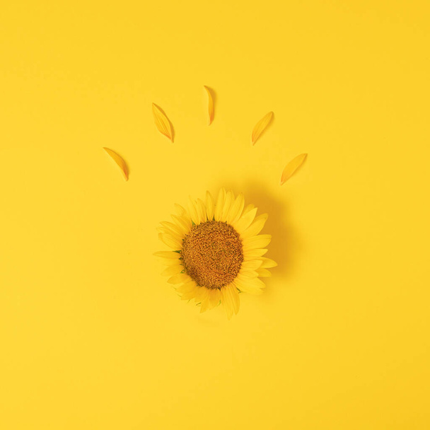 fresh yellow sunflower with petals on the yellow illuminating background. minimalism. - 写真・画像