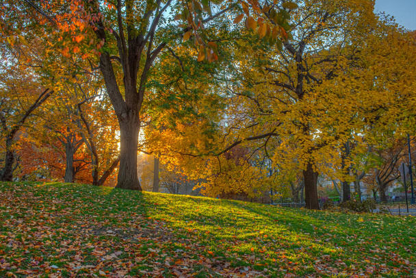 Central Park, New York City ősszel, ahogy a nap felkel - Fotó, kép