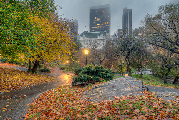 Центральный парк, Нью-Йорк, осень рано утром в пасмурный день - Фото, изображение