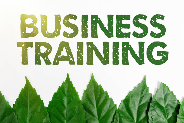Концептуальный дисплей Business Training. Концепция бизнеса, повышающая знания и навыки рабочей силы Природоохранные идеи, новые планы охраны окружающей среды - Фото, изображение