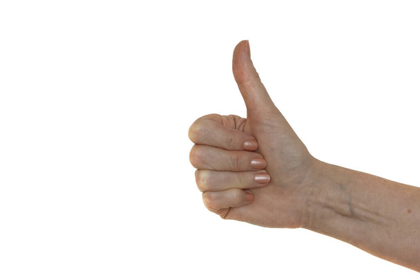 Жест рук - великі пальці вгору, ізольовані на білому тлі, жіноча рука
. - Фото, зображення