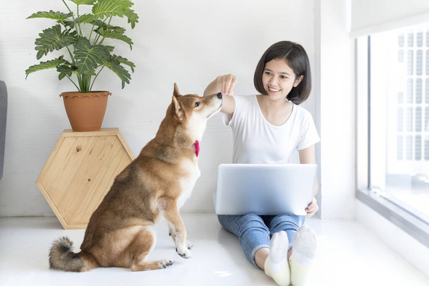 Азиатка, работающая на дому, работает у окна с собакой Шиба Ину. - Фото, изображение