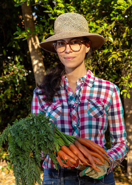 有機栽培の庭から収穫したニンジンを見せてくれるブルネットの女性。彼女はわらの帽子、点検されたシャツおよび処方眼鏡を身に着けている。健康的な生活。幸せよ。ライフスタイル。黄金の時間. - 写真・画像