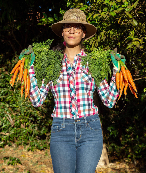 Durante la cosecha, una mujer morena muestra las zanahorias de su jardín orgánico. Lleva gafas graduadas, sombrero de paja, vaqueros azules y camisa a cuadros. Comida vegana. Vida sana. Estilo de vida. Hora dorada. - Foto, imagen