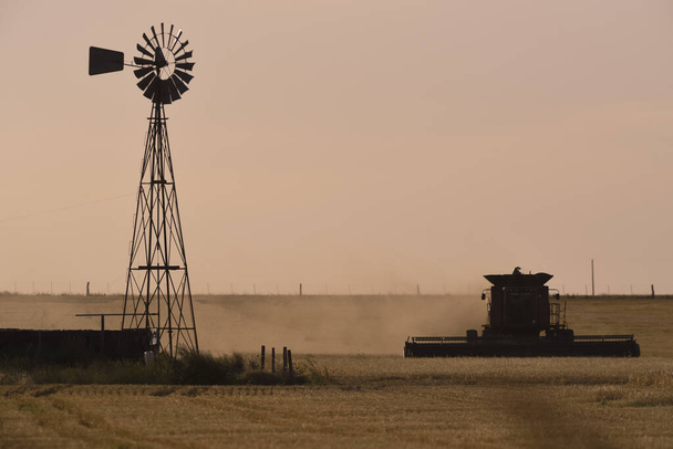 Комбайн, жатва в аргентинской сельской местности, провинция Мбаппе, Аргентина. - Фото, изображение