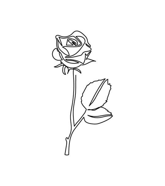 Rose, rosebud with leaves flower one line art. Continuous line drawing of plants, herb, flower, blossom, nature, flora, garden flowers. - Vecteur, image