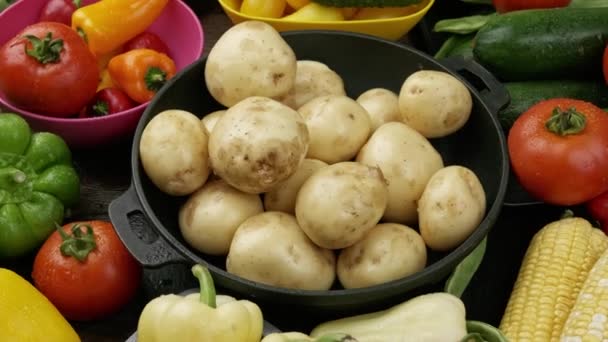 Set van rauwe groenten voor het koken van aardappelgroente stoofpot. Gezond eten concept - Video