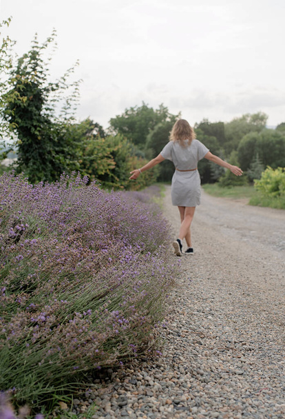 Woman walking by the lavender field, selective focus - Foto, afbeelding