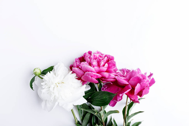 Fresh pink and white peonies bouquet on white background. Copy space. - Foto, Bild