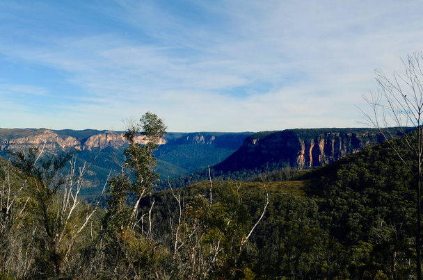 A view of the Blue Mountains west of Sydney from the Mount Banks Summit Walk - Valokuva, kuva