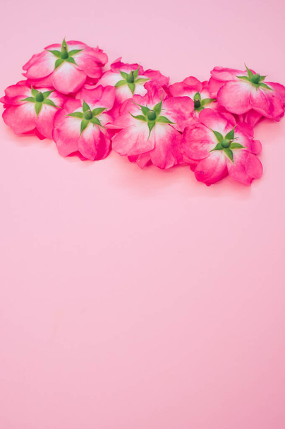 A bunch of fresh Hungarian roses isolated on a pink background with copyspace - Foto, Imagem