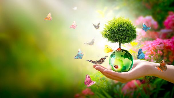 Earth Day or World Environment Day concept. Save our Planet, protect Green Nature and planting trees theme. Growing thuja on globe in hand, ladybugs and flock of many flying colorful butterflies. - Фото, изображение