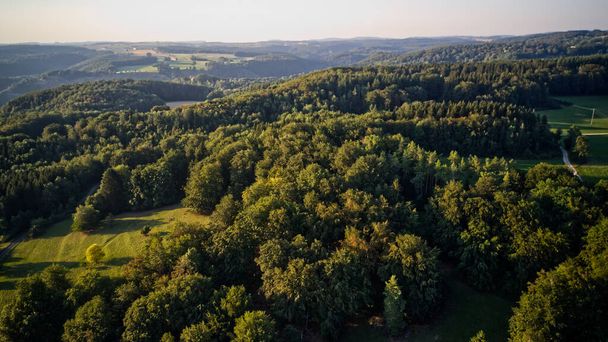 An aerial view of green dense forests on a sunny day - Zdjęcie, obraz