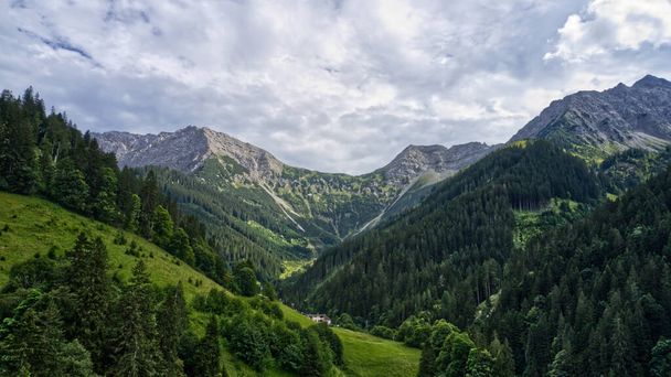 A beautiful green forest in a mountainous area - Fotoğraf, Görsel