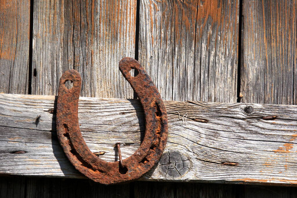 Teräshevosenkenkä puupohjalla. Vanha Rusty hevosenkengät puinen seinä - Valokuva, kuva