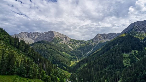 A dense forest on the slope of the mountains - Foto, Bild