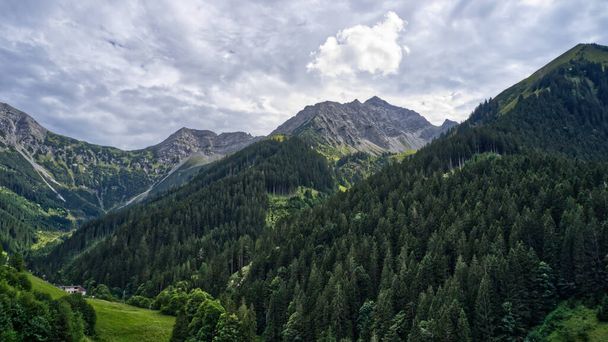 A beautiful green forest in a mountainous area - Foto, afbeelding