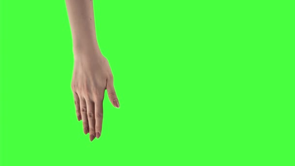 Hombre y mujer están mostrando las palmas de sus manos y moviéndolas hacia la derecha y la izquierda en la pantalla verde - Imágenes, Vídeo