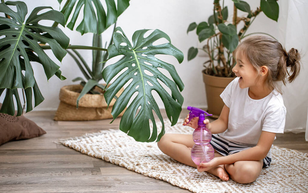 Little girl with sprayer houseplant leaves, taking care of plant Monstera, home gardening. - Photo, Image
