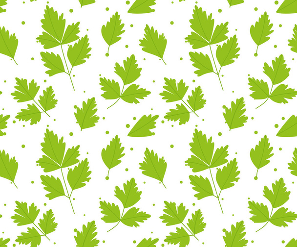 Patrón sin costura con hojas de perejil. sobre fondo blanco. ilustración vectorial eps 10 - Vector, imagen