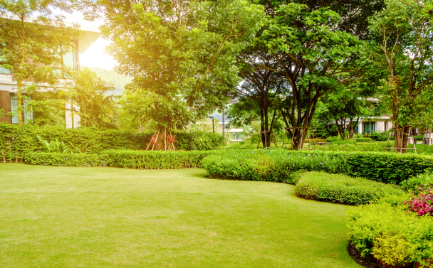 Дом в парке, зеленый лаун, палисадник оформлен в виде сада, потолки в саду, зеленая трава, современный дом с красивым ландшафтным палисадником, лаун и сад размытый фон. - Фото, изображение