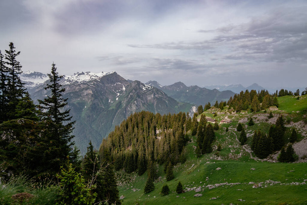 Schynige Platte, Bernese Oberland, Szwajcaria - Panorama lotnicza Widok na Alpy Szwajcarskie Eiger, Monch i Jungfrau w tle - Zdjęcie, obraz