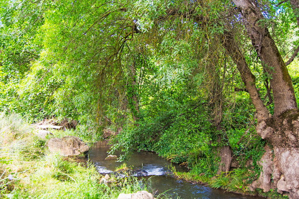 Río Hueznar y vegetación en San Nicolás del Puerto, Montaña del Norte de Sevilla, Andalucía, España - Foto, imagen