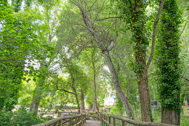 Fußgängerbrücke zur Quelle des Flusses Hueznar in San Nicolas del Puerto, Nord-Sevilla, Andalusien, Spanien - Foto, Bild