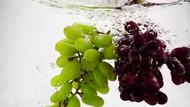 Видеовиноград в замедленной съемке. Спелые гроздья винограда погружаются в воду с пузырьками. - Кадры, видео