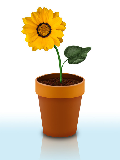 A ceramic flower pot isolated on white background - Foto, imagen
