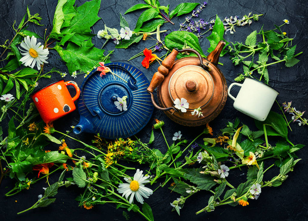Healing herbal tea. Teapot with tea made from fresh wild herbs. Herbal medicine. Herbal tea. - Fotoğraf, Görsel