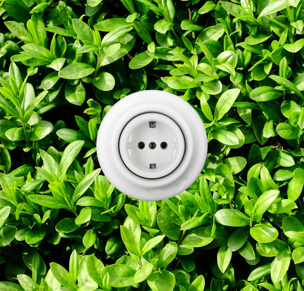 Круглая белая электрическая розетка на фоне зеленых листьев. Экологически чистая возобновляемая энергия. - Фото, изображение