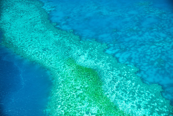 Aerial view of Whitsunday Islands Coral Reef of Queensland from the aircraft - Fotoğraf, Görsel