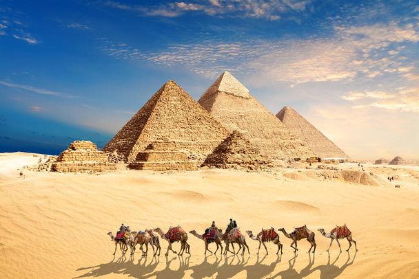 Una carovana di cammelli con beduini presso le Piramidi d'Egitto nel deserto di Giza. - Foto, immagini